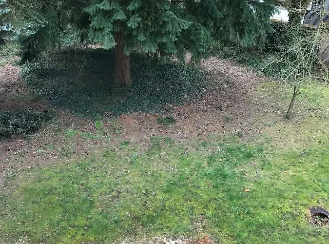 Chez Auguste * Nancy